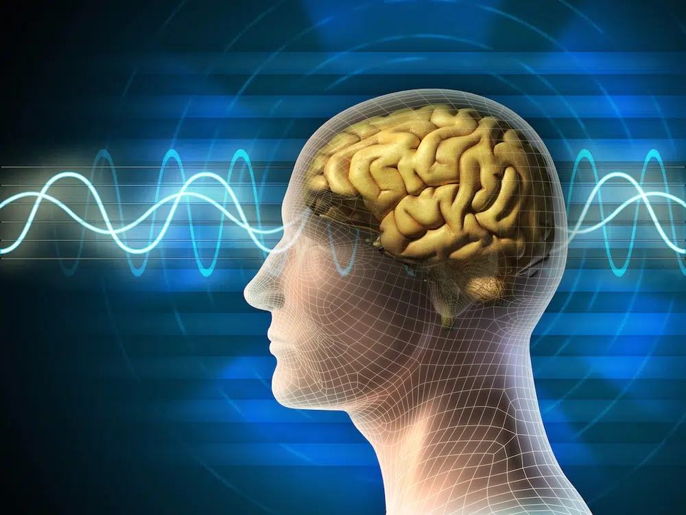 The Neuro Wave bonuses included on the neurowaves website for enhanced brain mind connection, featuring neuro wave sound for neuropathy and neurowave therapy benefits